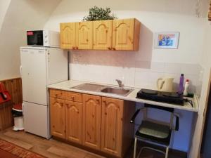 a kitchen with a sink and a white refrigerator at Penzion Ski in Karlova Studánka