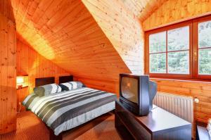 a bedroom with a bed and a tv in a cabin at Chata pod Mravenečníkem in Loučná nad Desnou