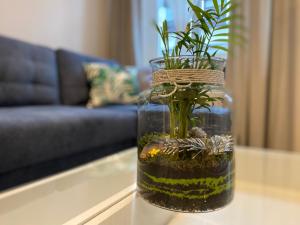Część wypoczynkowa w obiekcie Apartament URBAN JUNGLE!