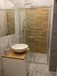 łazienka z umywalką i przeszkloną kabiną prysznicową w obiekcie Apartament URBAN JUNGLE! w Poznaniu