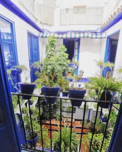 a balcony with a bunch of potted plants at The Dreamers&Co in Córdoba