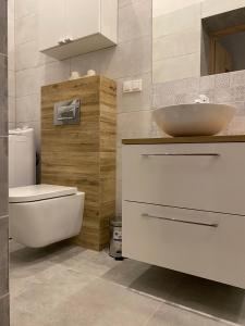 łazienka z umywalką i toaletą w obiekcie Apartament URBAN JUNGLE! w Poznaniu