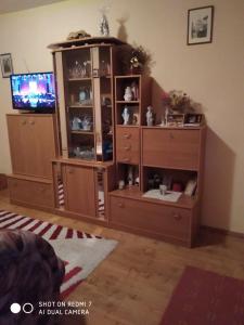 TV a/nebo společenská místnost v ubytování Holiday Home Ružmarin