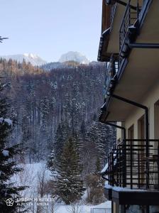 a view of a snowy mountain from a balcony of a building at APARTAMENT CIEŃ GIEWONTU in Zakopane