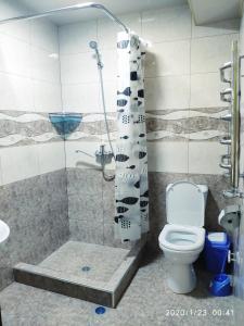 y baño con ducha, aseo y lavamanos. en HOTEL APOLLON, en Samarkand