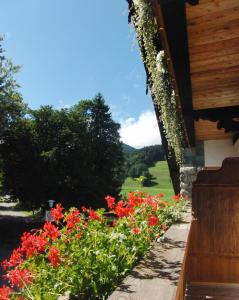 eine Reihe von Blumen an der Seite eines Hauses in der Unterkunft Haus Christoph in Bad Wiessee