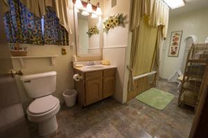a bathroom with a toilet and a sink and a shower at Canyon Colors Bed and Breakfast in Page
