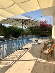 patio con sedie e ombrellone di Pomelie di Vendicari a Noto