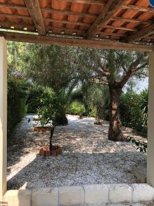 Giardino di Pomelie di Vendicari