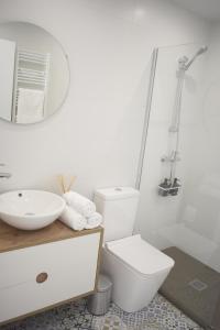 a bathroom with a toilet and a sink and a mirror at Kaltzada Etxea- Busturia in Axpe de Busturia