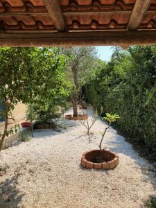 Giardino di Pomelie di Vendicari