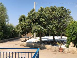 Giardino di Pomelie di Vendicari