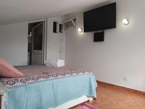 um quarto com uma cama e uma televisão de ecrã plano na parede em Tabua Village Nature Lovers & Sea #5 em Ribeira Brava