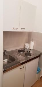 Kuchyň nebo kuchyňský kout v ubytování City apartment Amfora