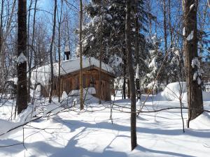 une cabane en bois dans la neige dans les bois dans l'établissement Hébergement de la Montagne St-Roch, à Saint Roch de Mekinac