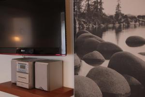 einen Fernseher auf einem Regal neben einer Wand mit einem Gemälde in der Unterkunft Ferienwohnung Warnemünde in Warnemünde