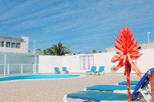 een resort met een zwembad en stoelen en een rode bloem bij NEW ColonyClub in Puerto del Carmen