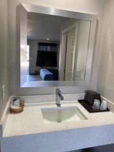 a bathroom counter with a sink and a mirror at Tweetys 9 Diamond Inn in Houston