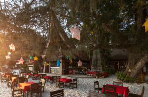 Κήπος έξω από το Avatara Resort