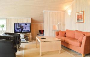 een woonkamer met een bank en een tv bij Lovely Home In Grsted With Wifi in Udsholt Sand