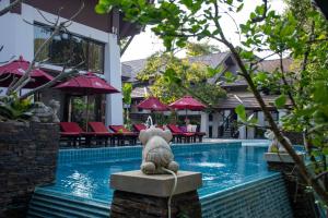 un ours en peluche assis à côté d'une piscine dans l'établissement Samed Pavilion Resort, à Ko Samet