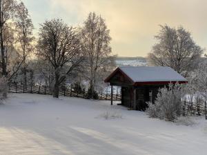 Příroda nedaleko bed and breakfast
