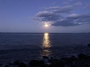 Φυσικό τοπίο κοντά σε αυτό το ryokan