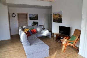 a living room with a couch and a tv at Altes Logierhaus in Wernigerode