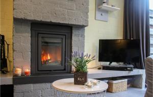 ブライニッセにあるLovely Home In Bruinisse With Kitchenのリビングルーム(暖炉、テレビ付)