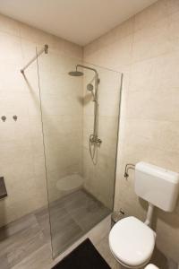 a bathroom with a toilet and a glass shower at Gloria Rooms in Požega