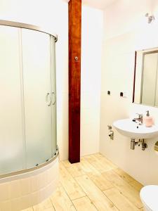 a bathroom with a glass shower and a sink at Apartament Salton in Bochnia