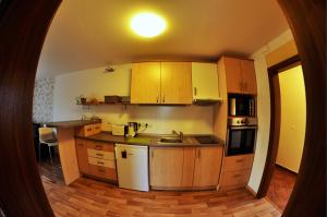 a small kitchen with wooden cabinets and a sink at Apartmá Krkonoše in Martinice