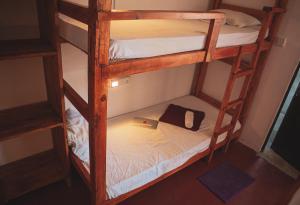 En eller flere senge i et værelse på Nature Rex Hostel
