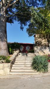 A garden outside EL CAMPANARIO