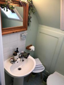 a bathroom with a sink and a mirror and a toilet at The Rannoch Nest, Kinloch Rannoch in Kinloch Rannoch
