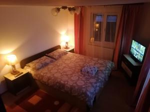 1 dormitorio con 1 cama con 2 lámparas y TV en Vila Perla Govorei en Băile Govora