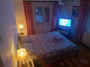 a small bedroom with a bed and a television at Vila Perla Govorei in Băile Govora