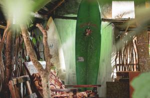 um quarto com duas pranchas de surf na parede em Nature Rex Hostel em Weligama