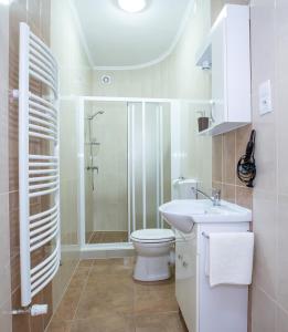 a bathroom with a toilet and a sink and a shower at Villa Rosa in Hajdúszoboszló