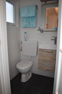 uma casa de banho com um WC branco e um lavatório. em Kingstreet Cottage em Zandvoort