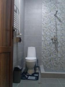Bagno di Cozy House Kazbegi