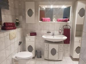 a bathroom with a toilet and a sink at Ferienwohnung Parkblick Medebach in Medebach +37 photos