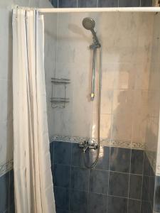 een badkamer met een douche en een douchegordijn bij Apartment Sandra in Budva