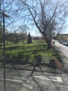 un parque con un banco y un árbol en Home on the Park en Mánchester