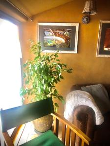 a room with a potted plant and paintings on the wall at Exklusive ökologische Ferienwohnung , Innenstadt, DG in Wernigerode