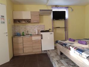 uma cozinha com 2 camas e um frigorífico branco em Apartman Andjela 2 em Vrdnik