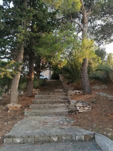 a set of stone stairs in a park with trees at La Petite Maison in Splitska
