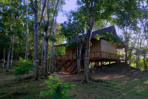 Příroda nedaleko luxury tent