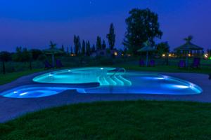 una piscina en el césped por la noche en Cabañas Viento Andino en San Rafael