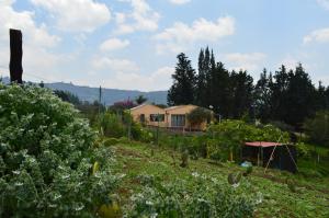 een tuin met een huis op de achtergrond bij La Nueva Granja Hospedaje Rural in Tibasosa